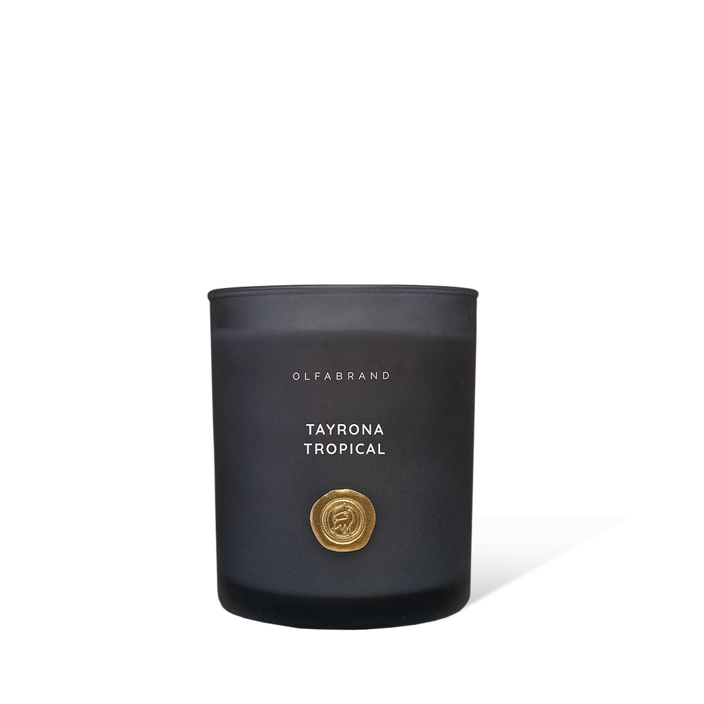 Vela Artesanal Tayrona Tropical 300g