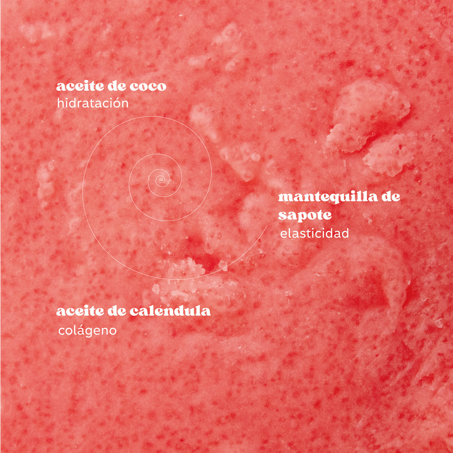 Exfoliante Corporal Almond | Body Scrub