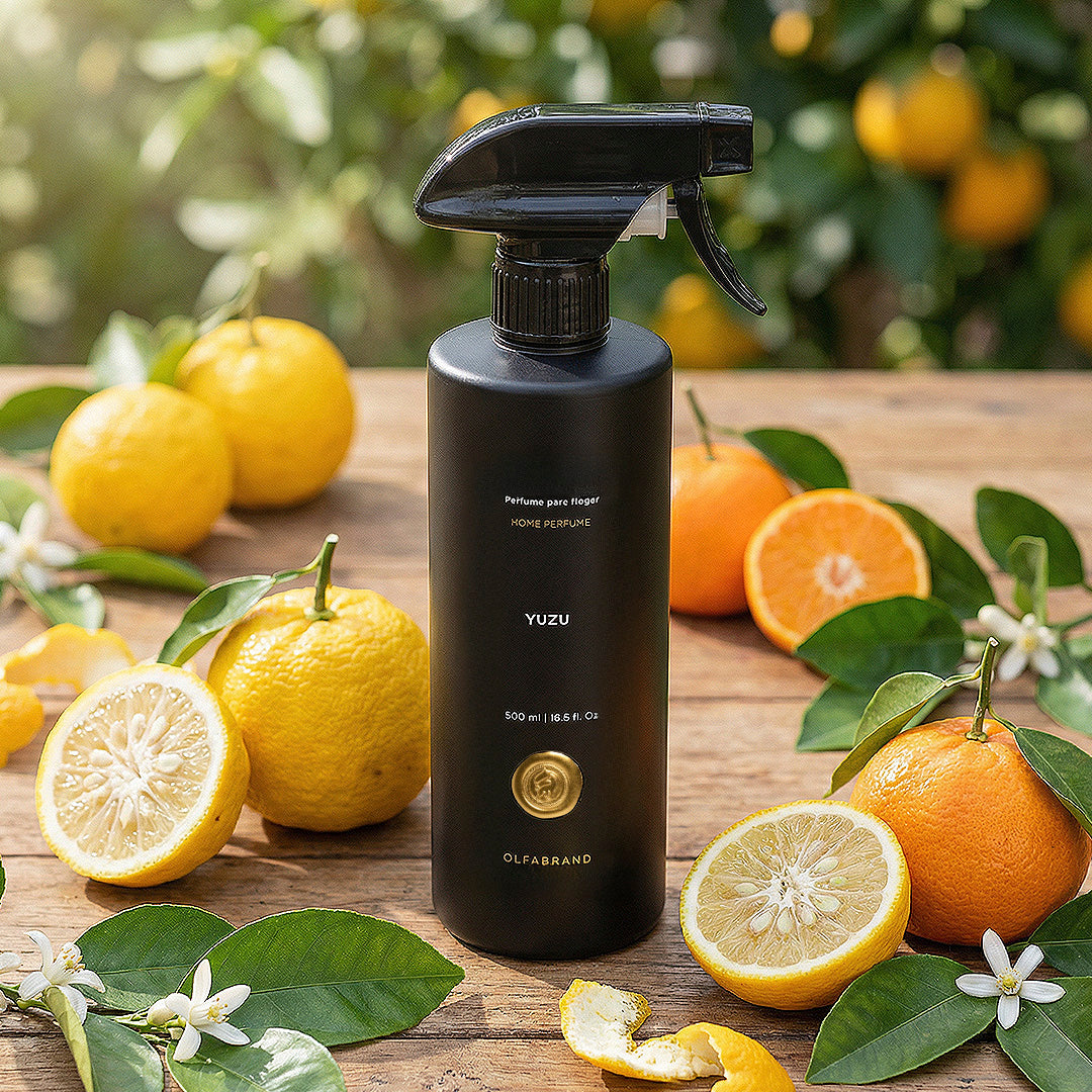 Perfume Casa Yuzu 500ml