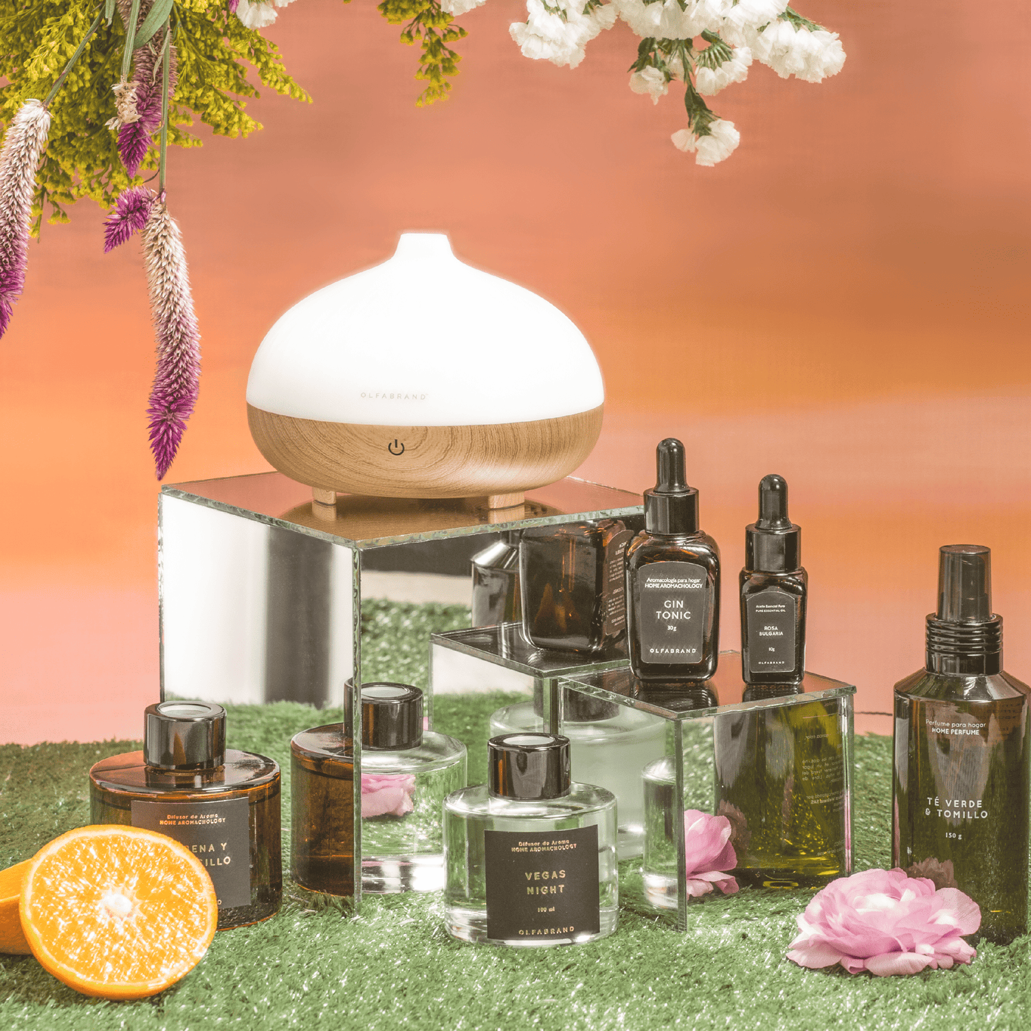 HUMIDIFICADORES: CONÉCTATE CON UN HÁBITAT NATURAL. - Olfabrand