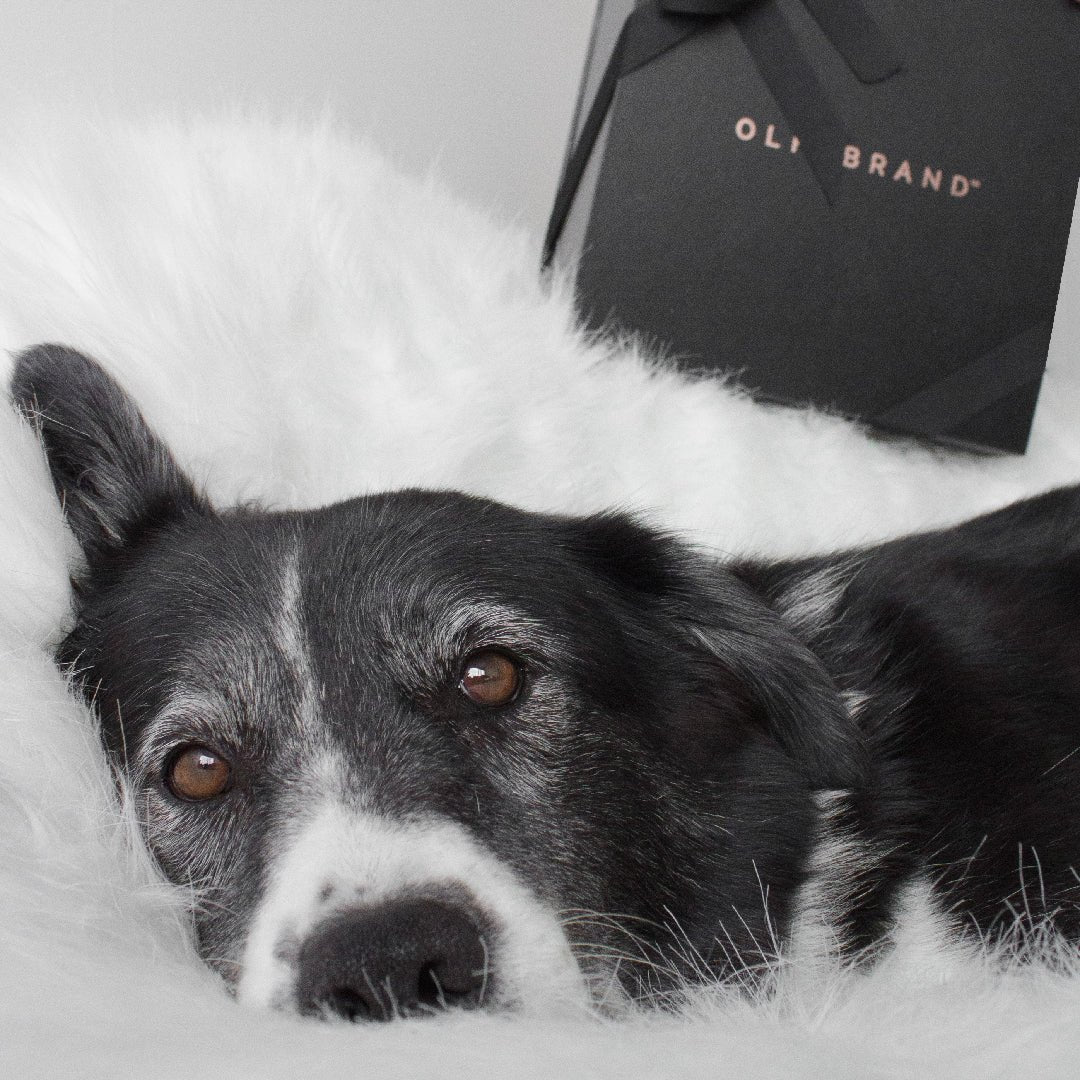 OLFABRAND, UNA MARCA CRUELTY FREE  - Olfabrand