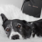 OLFABRAND, UNA MARCA CRUELTY FREE  - Olfabrand
