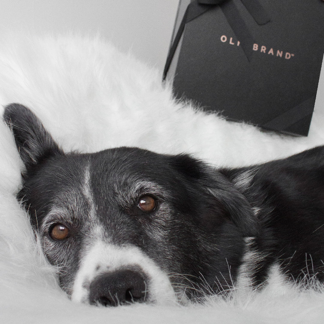 OLFABRAND, UNA MARCA CRUELTY FREE 
