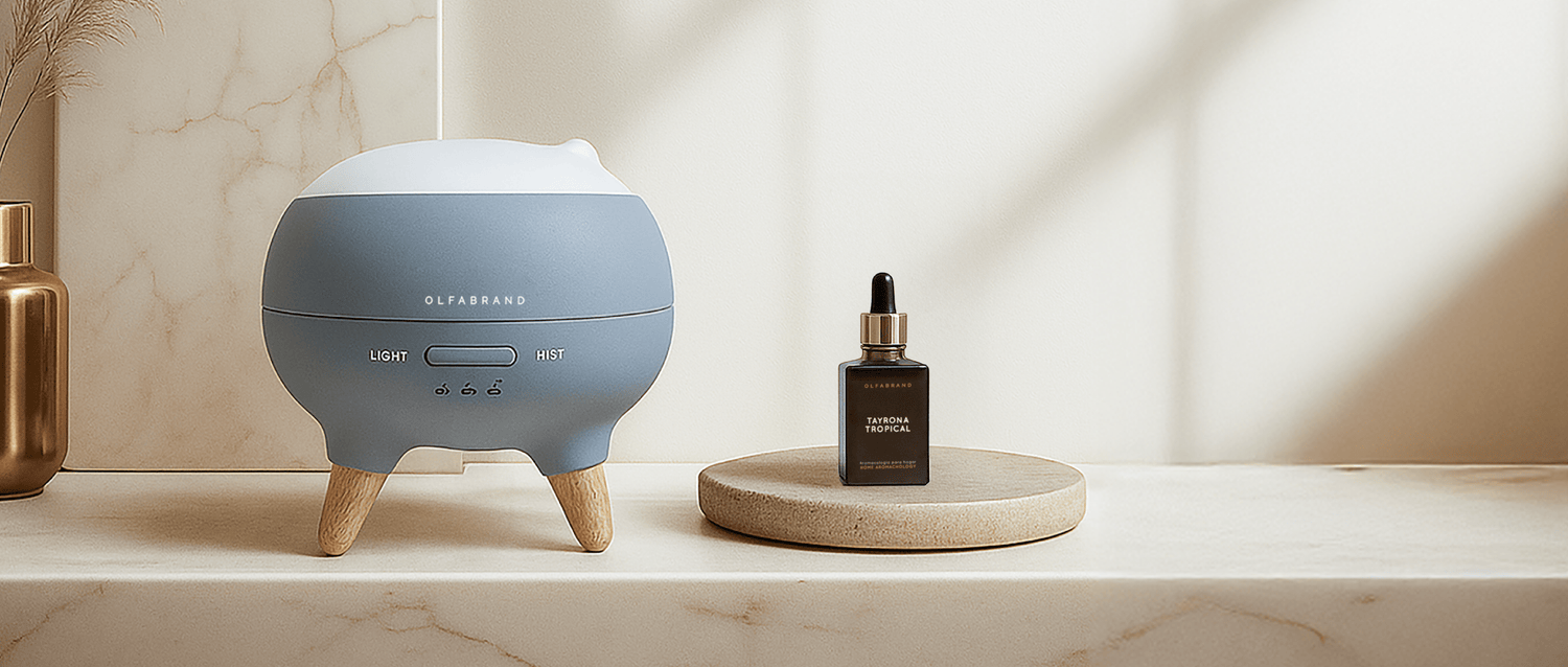 Aromas que transforman tu casa: lo último en bienestar para el hogar - Olfabrand