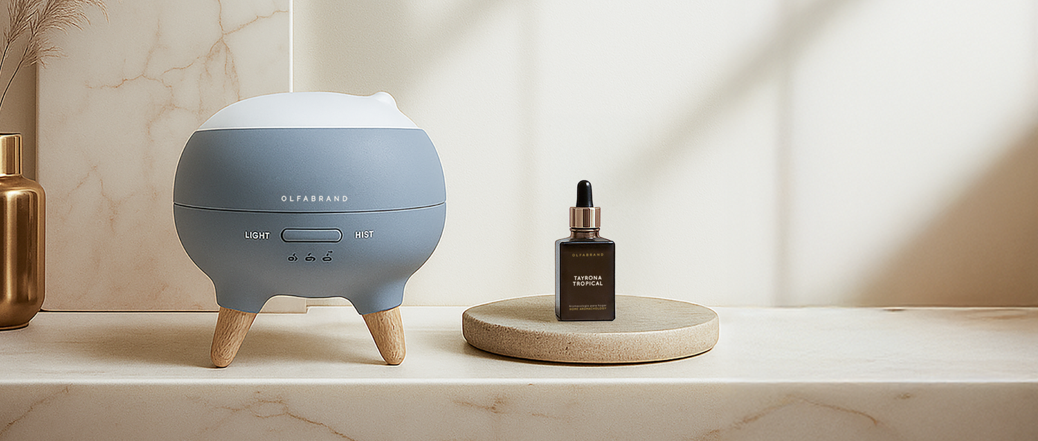Aromas que transforman tu casa: lo último en bienestar para el hogar