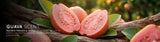 Guava