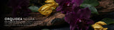 Orquídea Negra