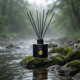 Difusor de aromas Reed  Vainilla Negra 100ml