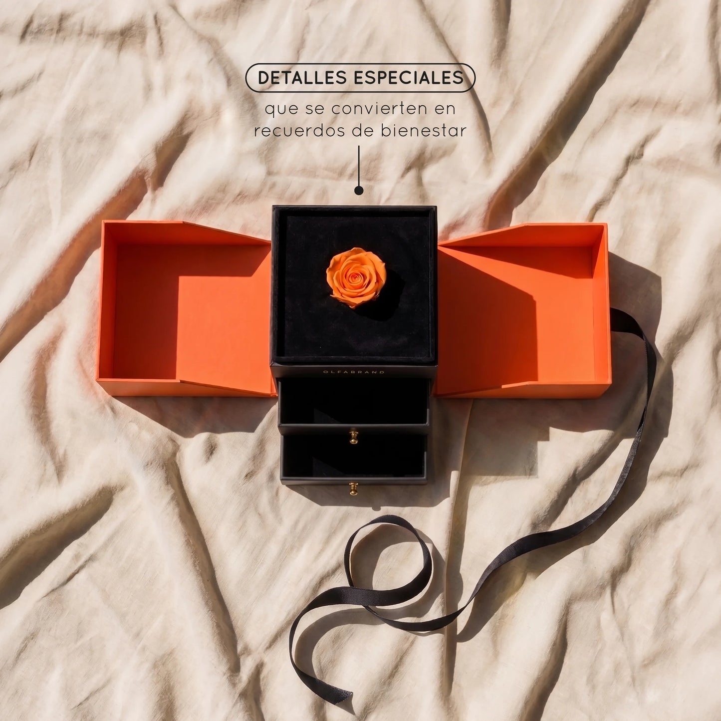 Caja de Rosas - Decorativa