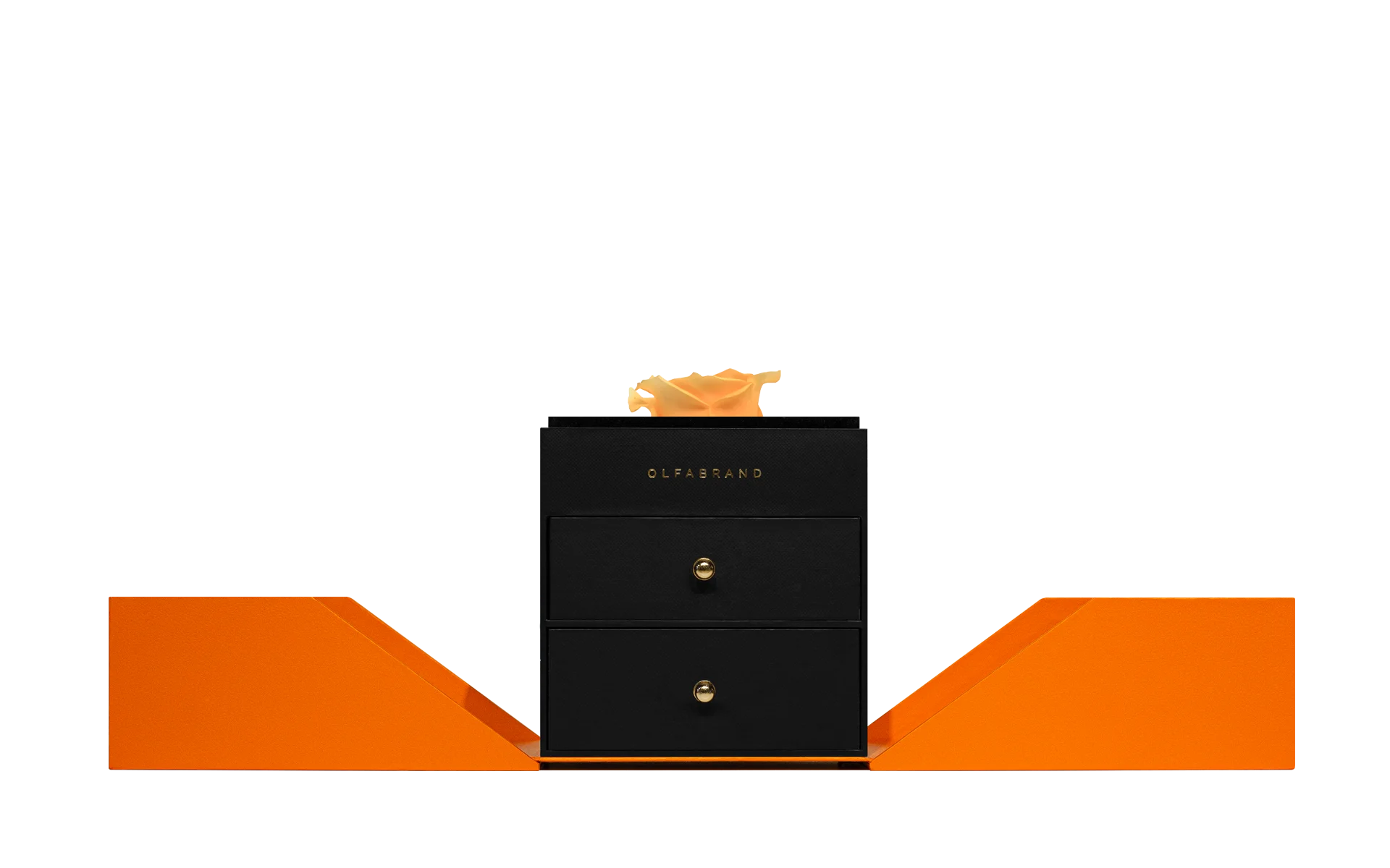 Caja de Rosas - Decorativa