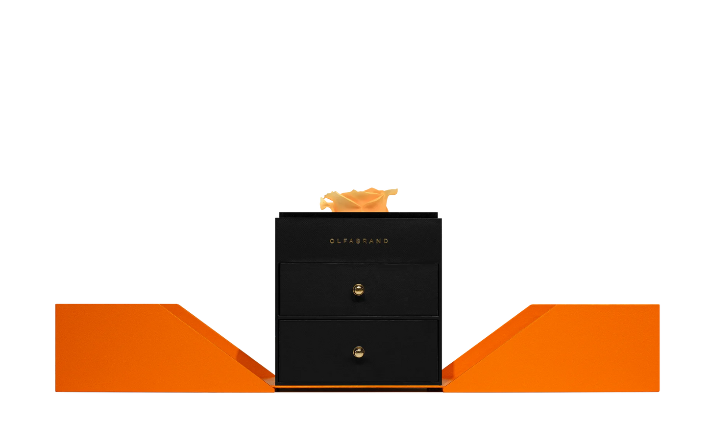 Caja de Rosas - Decorativa