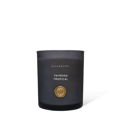 Vela Artesanal Tayrona Tropical 300g - Olfabrand