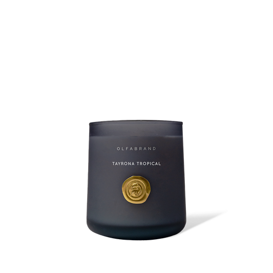 Vela Artesanal Tayrona Tropical 210g