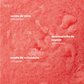 Exfoliante Corporal Almond | Body Scrub