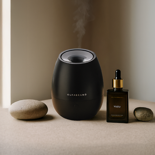 Humidificador Ecco