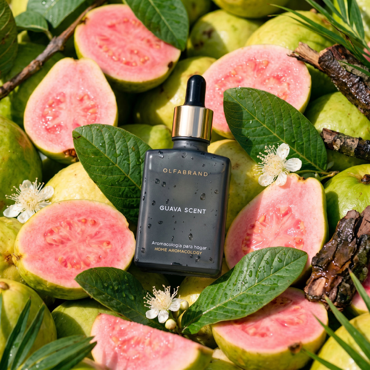 Fragancia Guava 30ml