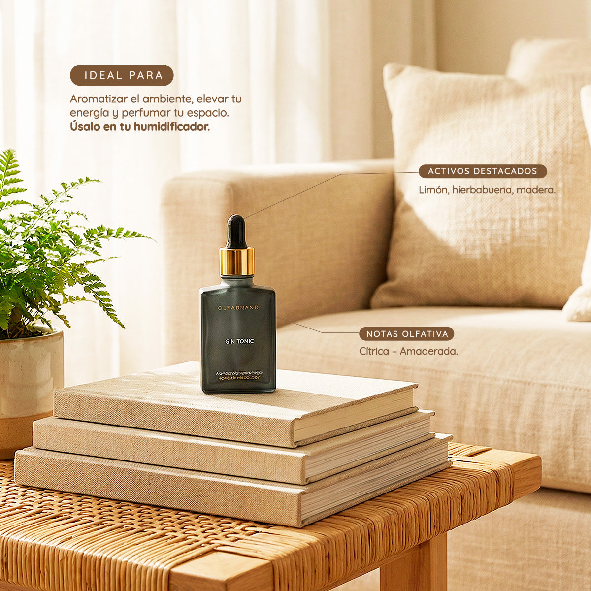 Fragancia Gin Tonic 30ml