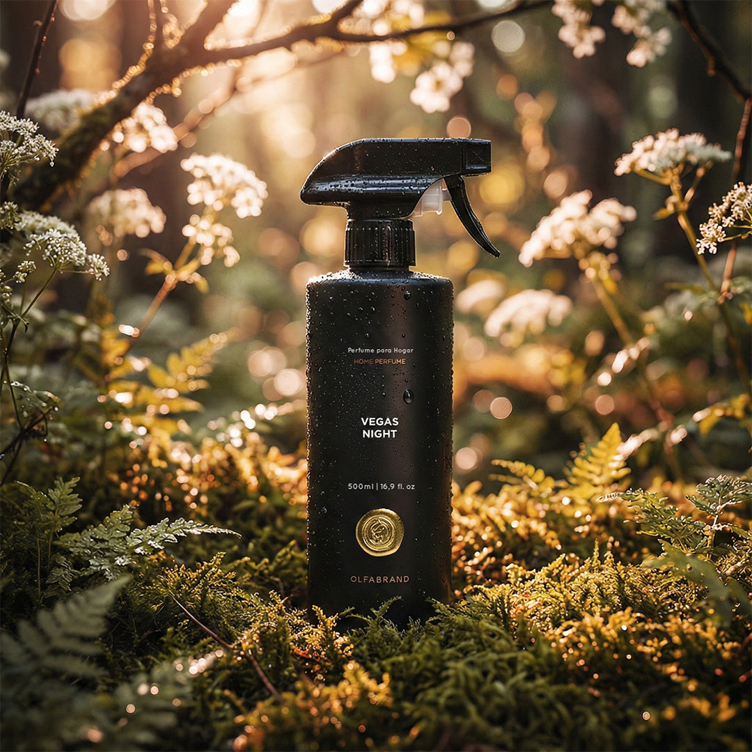 Perfume Casa Vegas Night 500ml