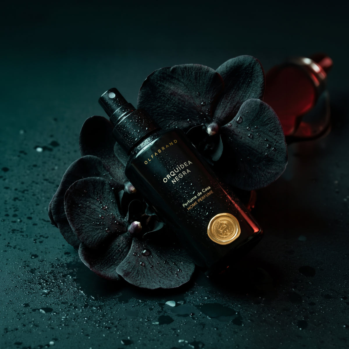 Perfume Casa Orquidea Negra 100ml