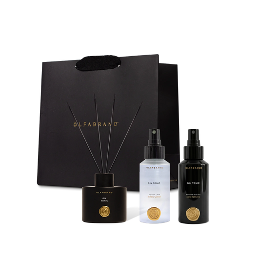 Ritual Ambiente Gin Tonic 100 ML