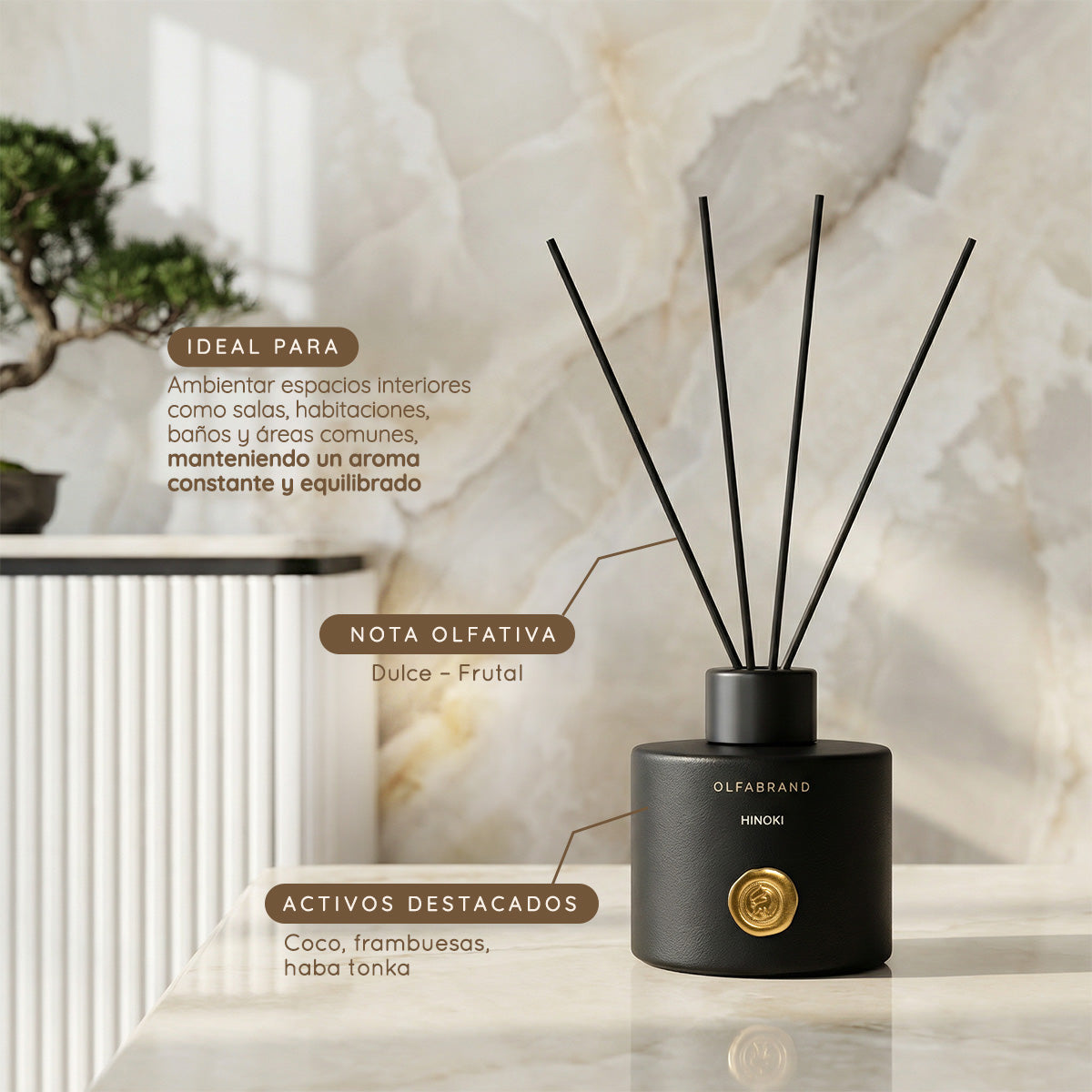 Difusor de aromas Reed  Vainilla Negra 100ml